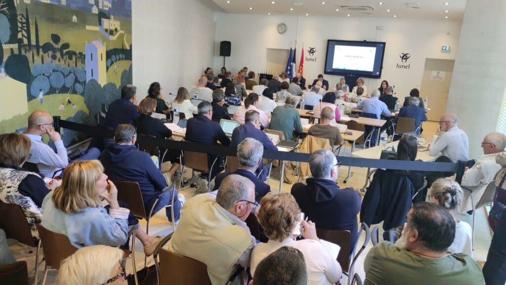 Photo du 3ème Conseil municipal de Lunel, photo prise du public.